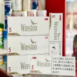 【整條10包】日本菸 Caster卡斯特5號軟盒 5毫克 天香5號 Winston 5號雲斯頓涼菸 雲絲頓 藍莓5號 日稅香菸现货