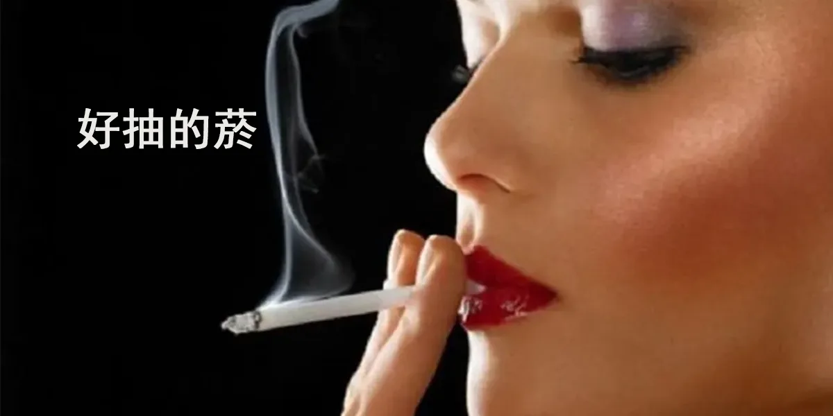 好抽的菸推薦2024你必抽的煙