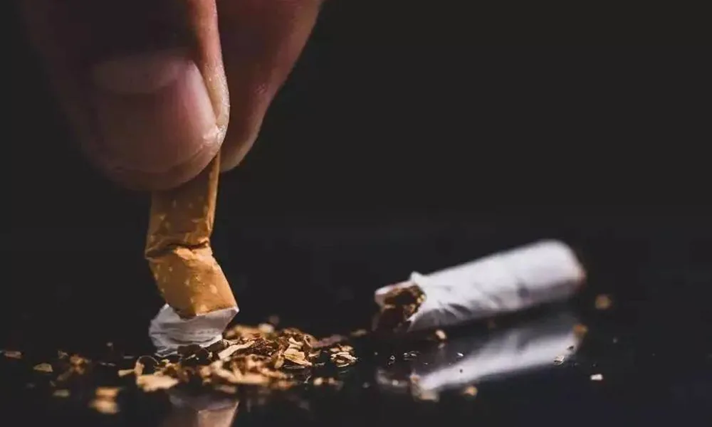 怎麼抽真菸2024最新知識指南