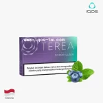 【紫波葡萄】亞洲版Indonesia印尼ILUMA 煙彈 IQOS ILUMA專用 整條10包 三天到貨
