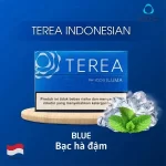 【濃薄荷】亞洲版Indonesia印尼ILUMA煙彈 IQOS ILUMA專用 整條10包 三天到貨